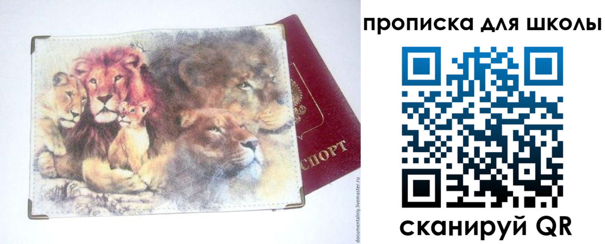временная регистрация гарантия в Анапе